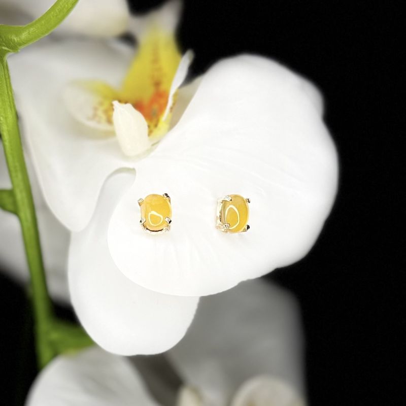 Φωτογραφία από Καρνεόλη