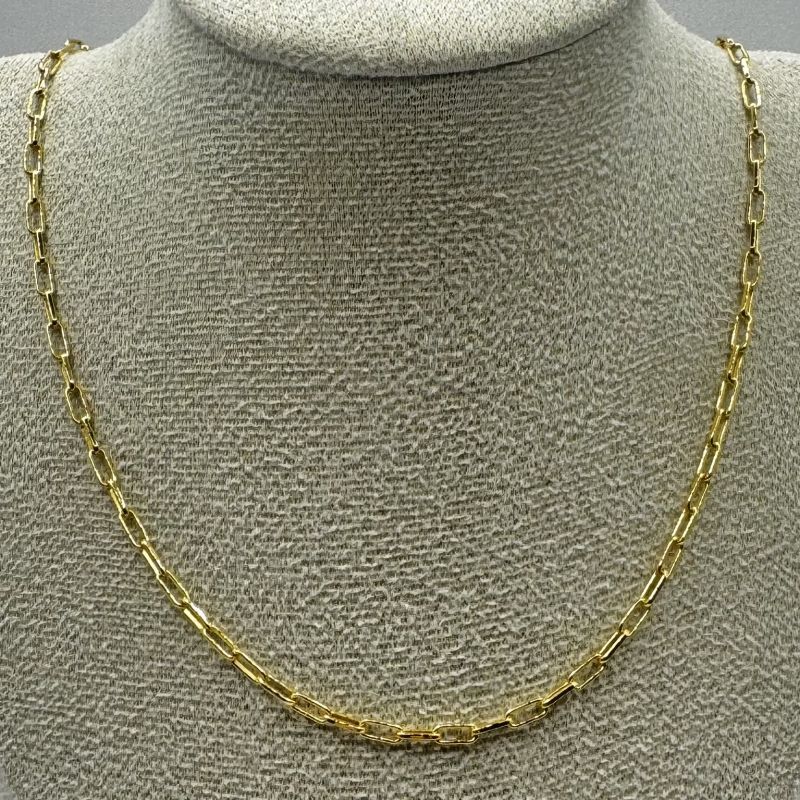Φωτογραφία από Paper Clip Chain Necklace 